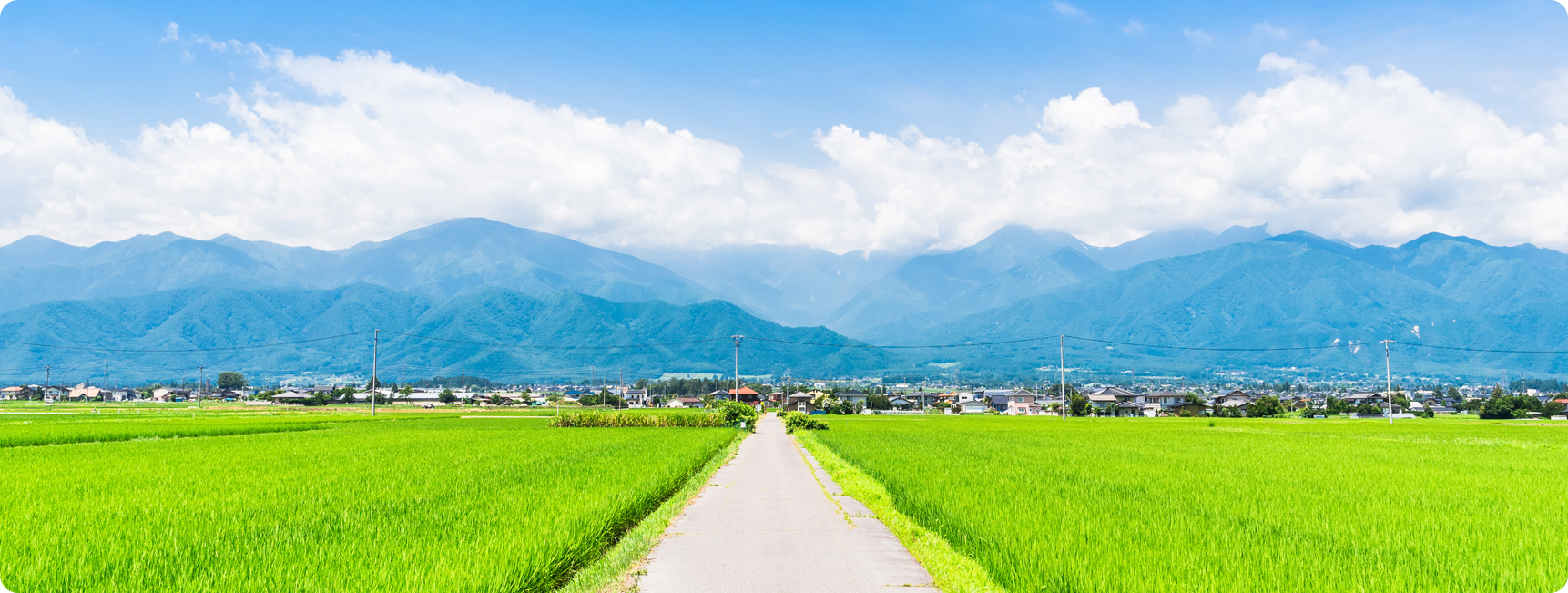 さくらホールへのお客様の声
