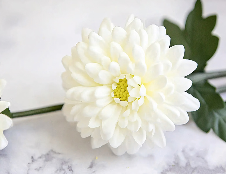 さくらホールの生花部だからこそできること